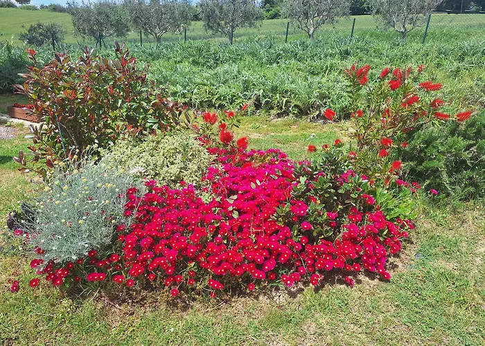 La Casa Di Vandina